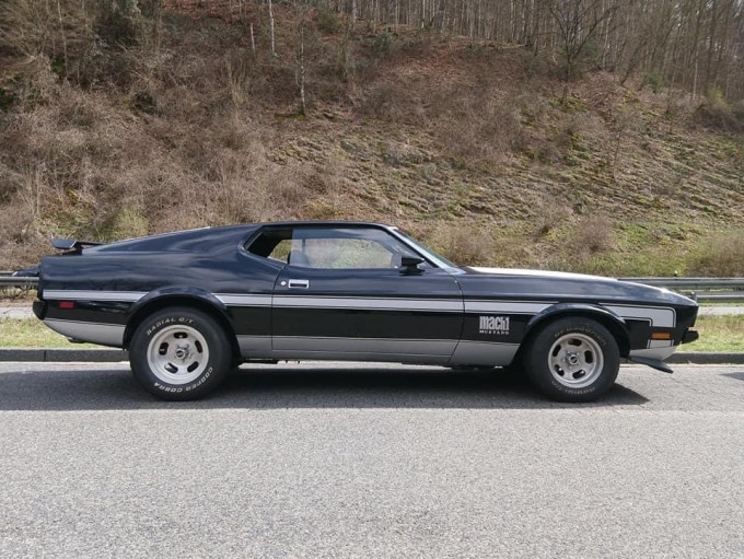 mustang.jpg