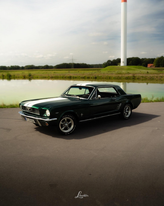 FD09FA90-6C03-406A-98A8-BD3F32D4196A.jpeg