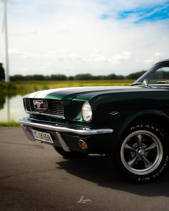 C2ED0A65-B27E-440F-8424-655518E306A4.jpeg