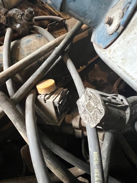 Stecker 2.JPG