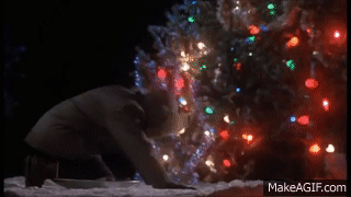 EMjIpM.gif