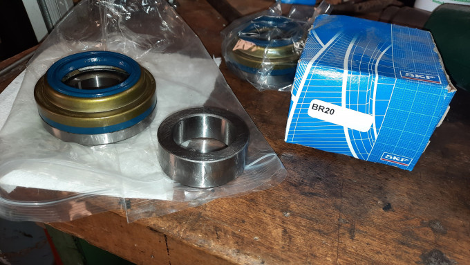 SKF_BR20.jpg