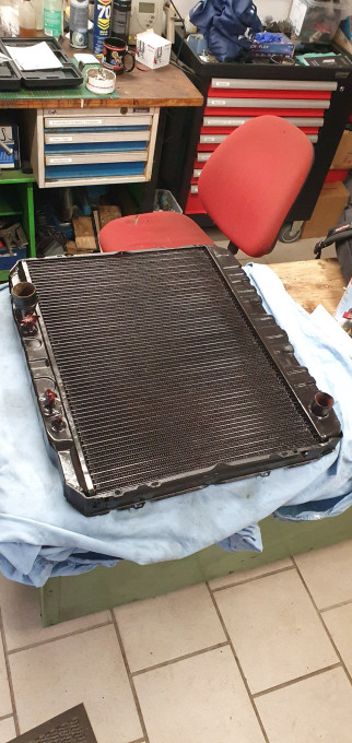 20250311_115128.jpg
