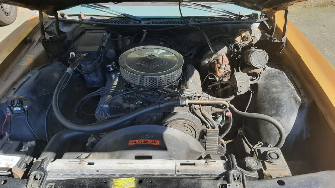 20250407_145502.jpg