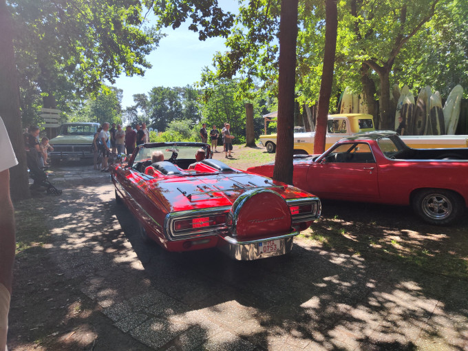 IMG_20250621_114355.jpg