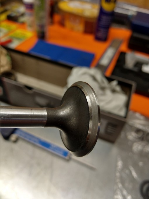 2019_Motor2_Köpfe10.jpg