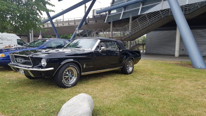 Mustang s.P..jpg